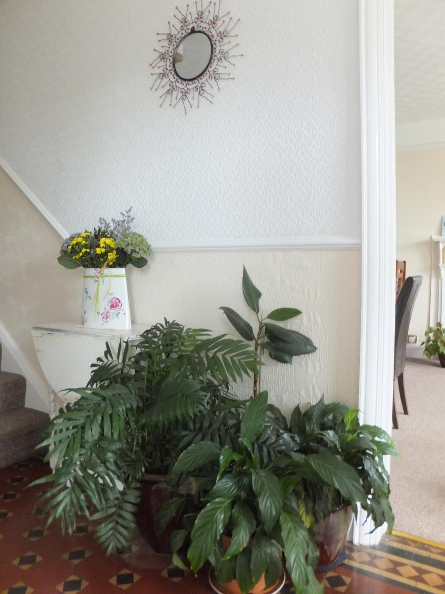 Sea Jade Guest House Буде Экстерьер фото
